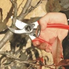 Sekator Ogrodowy dla Praworęcznych śr. cięcia 25 mm roz. L Felco 2
