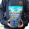 Nawóz do Borówek Wieloskładnikowy 800 g Westland
