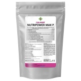 Kup razem NutriPower Max P (10-52-10+ME) 2,5KG