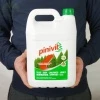 Nawóz płynny Florovit Pinivit 5 l