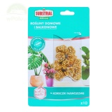 Kup razem Osmocote 2w1 Koreczki Nawozowe Uniwersalne 10x50G Substral