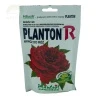 Planton R róża 200G
