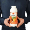 Inseko Best-Pest  1 L