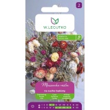 Kup razem Mieszanka na Suche Bukiety Nasionka 1 g Legutko