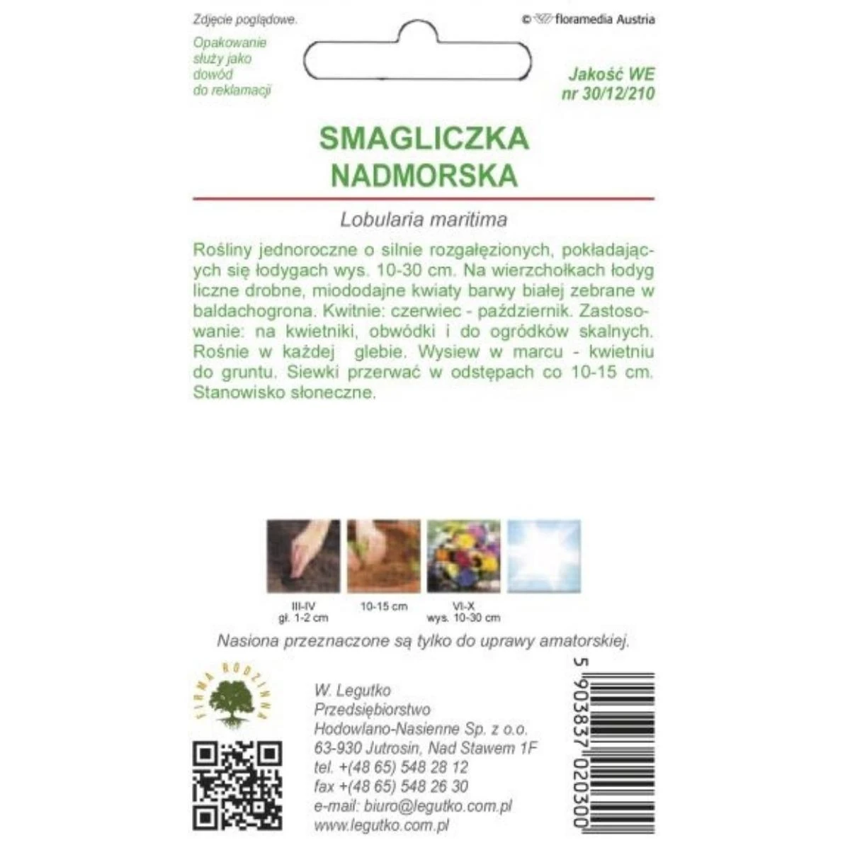 Smagliczka Nadmorska Biała Nasionka 0,5 g Legutko