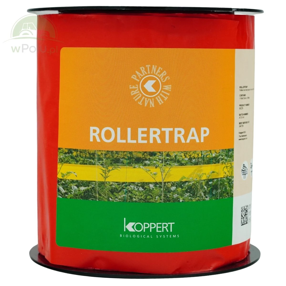Rolletrap Red 15 cm x 100 m Czerwona taśma lepowa na muszkę plamoskrzydłą