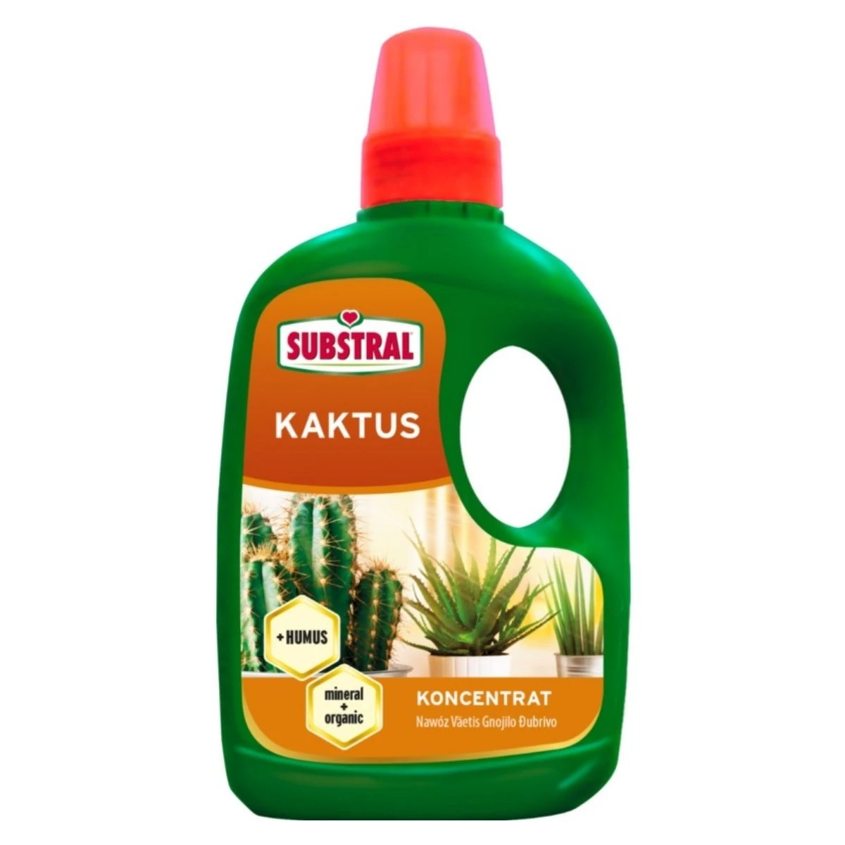 Nawóz w Płynie z Humusem do Kaktusów 250 ml Substral