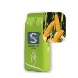 Kup razem Kukurydza Louxor St 50 Tys  FAO 220-240 Soufflet