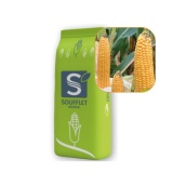 Kup razem Kukurydza Itea St 50 Tys FAO 270-280 Soufflet
