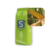 Kup razem Kukurydza Imedia St 50 Tys FAO 260 Soufflet