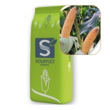 Kup razem Kukurydza Lunaris St 50 Tys FAO 250 Soufflet