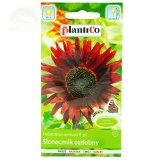 Kup razem Słonecznik Ozdobny Helianthus Czerwony 2 g wysoki Plantico