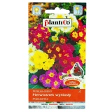 Kup razem Pierwiosnek Wyniosły 0,2 g Plantico