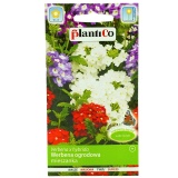 Kup razem Werbena Ogrodowa Mieszanka 0,5 g Plantico