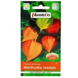 Kup razem Miechunka Rozdęta Pomarańczowa 0,5 g Plantico