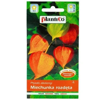 Miechunka Rozdęta Pomarańczowa 0,5 g Plantico