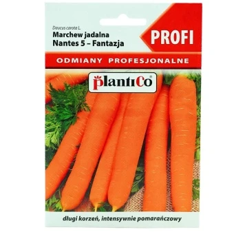 Marchew Jadalna Nantes 5 Fantazja 2 g Plantico
