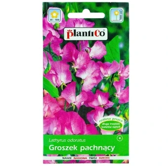 Groszek Pachnący Różowy 2 g Plantico