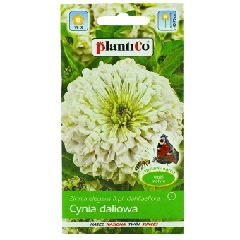 Cynia Wytworna Daliowa Biała 1 g Plantico