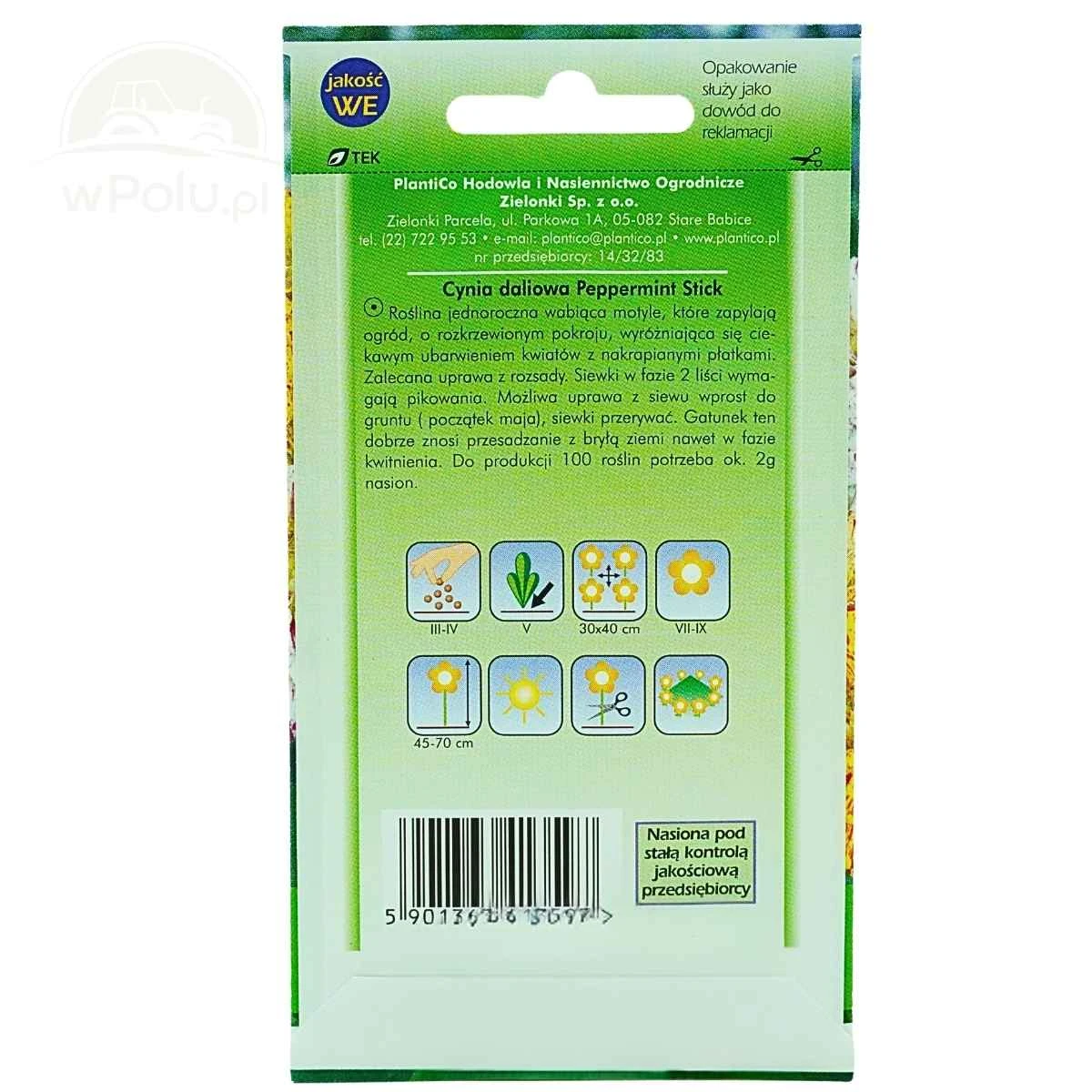 Cynia Wytworna Daliowa Peppermint Stick 1 g Plantico