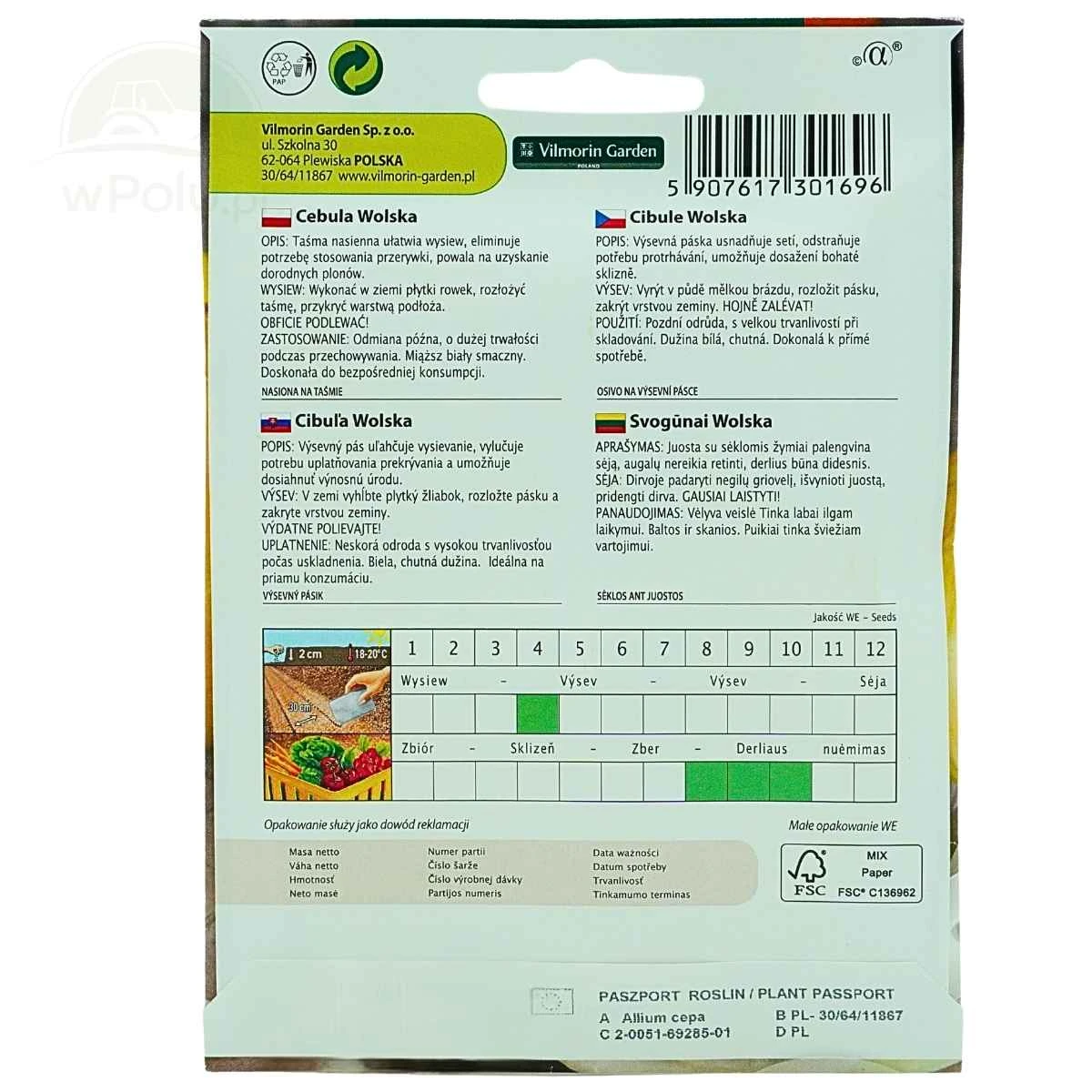 Cebula Wolska Późna Nasiona Vilmorin Taśma 7 m