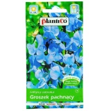 Kup razem Groszek Pachnący Niebieski 2 g Plantico