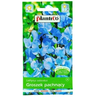 Groszek Pachnący Niebieski 2 g Plantico