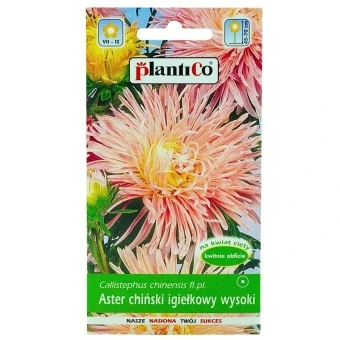 Aster Chiński Igiełkowy Łososiowy Ewa 1 g Plantico