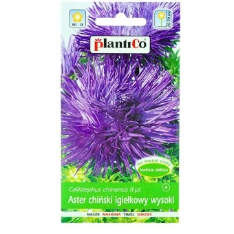 Aster Chiński Igiełkowy Fioletowy 1 g Plantico