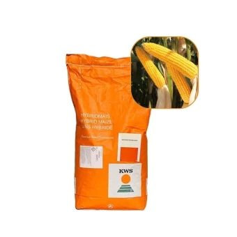 Kukurydza Amavit 50 Tys FAO 220-230 KWS