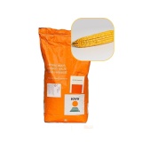 Kup razem Kukurydza Almondo 50 Tys FAO 230 KWS