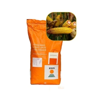 Kukurydza Koletis 50 Tys FAO 270 KWS