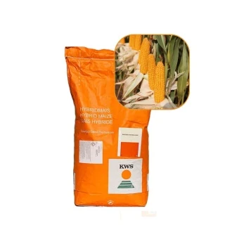 Kukurydza Ronaldinio 50 Tys FAO 260 KWS