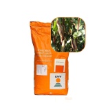 Kup razem Kukurydza Jaipur 50 Tys FAO 240 KWS 