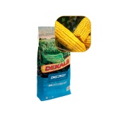 Kup razem Kukurydza 3937 FAO 260-270 50 Tys DKC