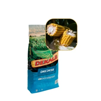 Kukurydza 3418  FAO 250 50 Tys DKC