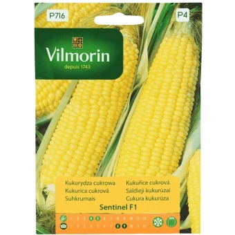 Kukurydza Cukrowa Sentinel F1 Vilmorin 2,5g GC P4