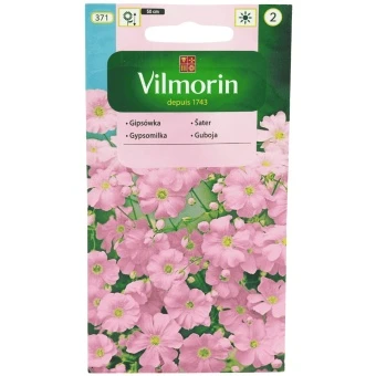 Gipsówka Róż Vilmorin 5g