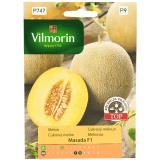 Kup razem Melon Masada F1 10Z GC9 Vilmorin