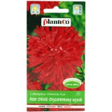 Kup razem Aster Chiński Chryzantemowy Czerwony 1 g Plantico