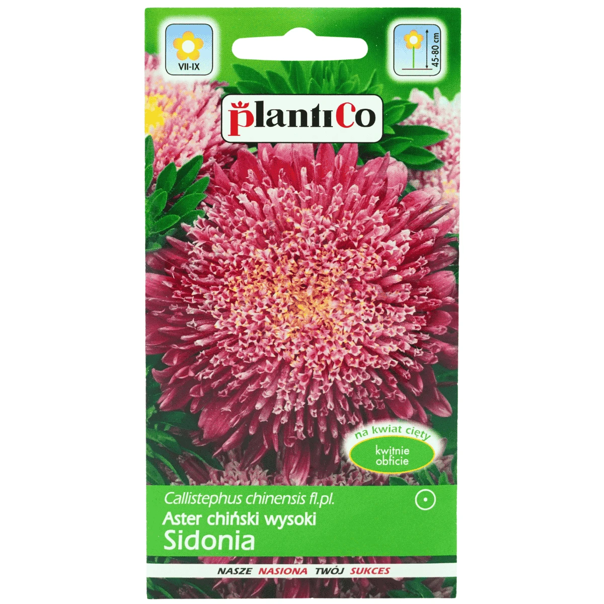 Aster Chiński Typ Sidonia Karminowy 1 g Plantico