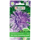 Kup razem Aster Chiński Chryzantemowy Fioletowy 1 g Plantico