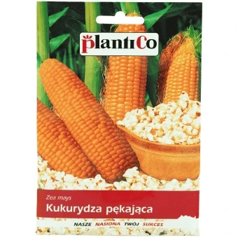 Kukurydza Pękająca Jantar 10 g ST Plantico