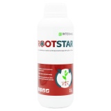 Kup razem INTERMAG ROOTSTAR 1L powschodowy dolistny