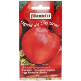 Kup razem Pomidor Gruntowy Solanum L.OXHEART 0,2 g Bawole Serce Plantico