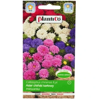 Aster Chiński Karłowy Mix 1 g Plantico
