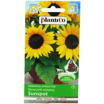 Słonecznik Ozdobny Helianthus Pełny 2 g niski Plantico