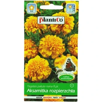 Aksamitka Rozpierzchła Żółta 1 g Plantico