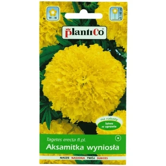 Aksamitka Wyniosła Żółta 1 g Plantico