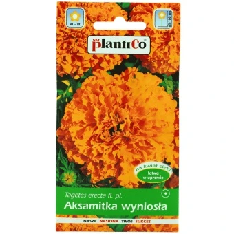 Aksamitka Wyniosła Pomarańczowa Titania 1 g Plantico